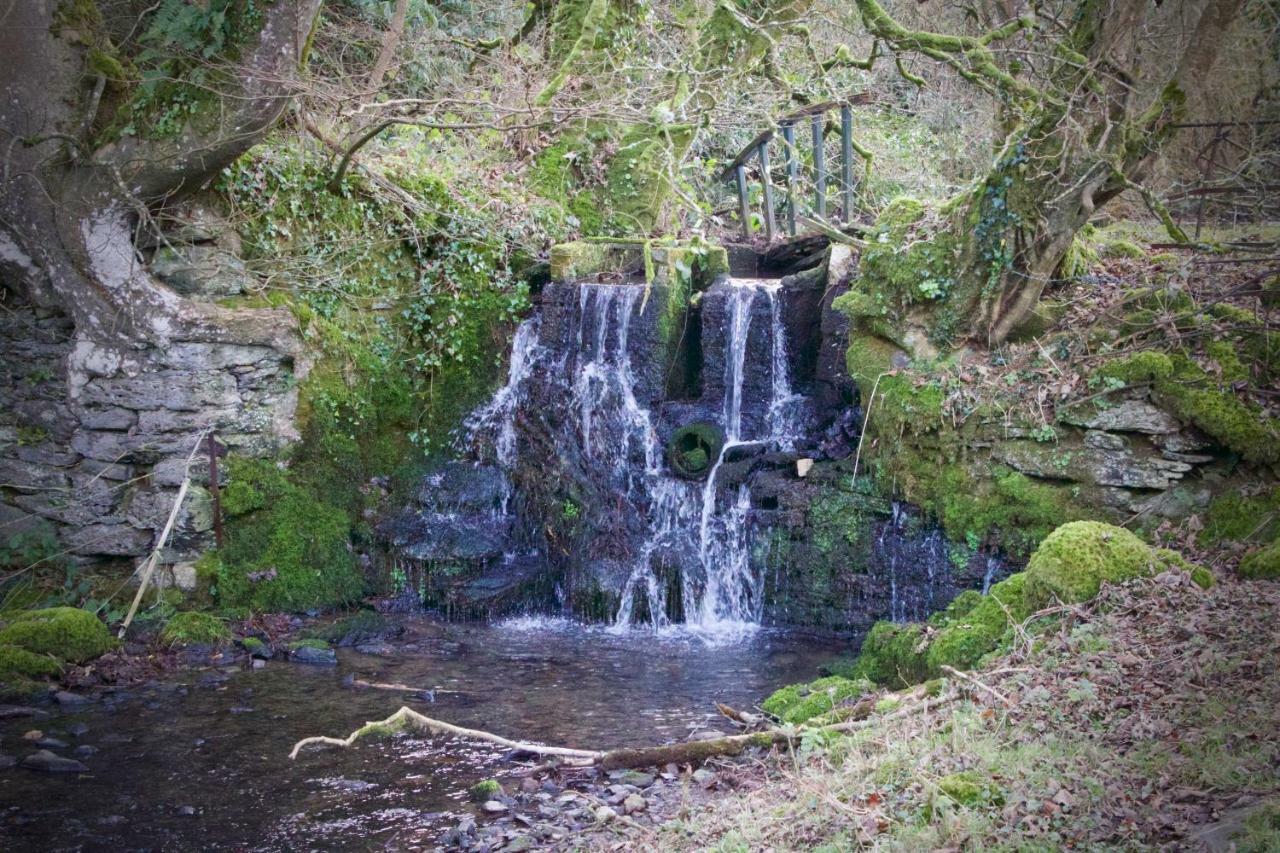 Waterfall Cottage Лонсестън Екстериор снимка
